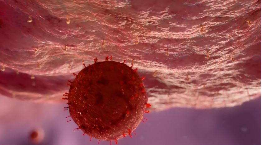 cuarentenas colombia