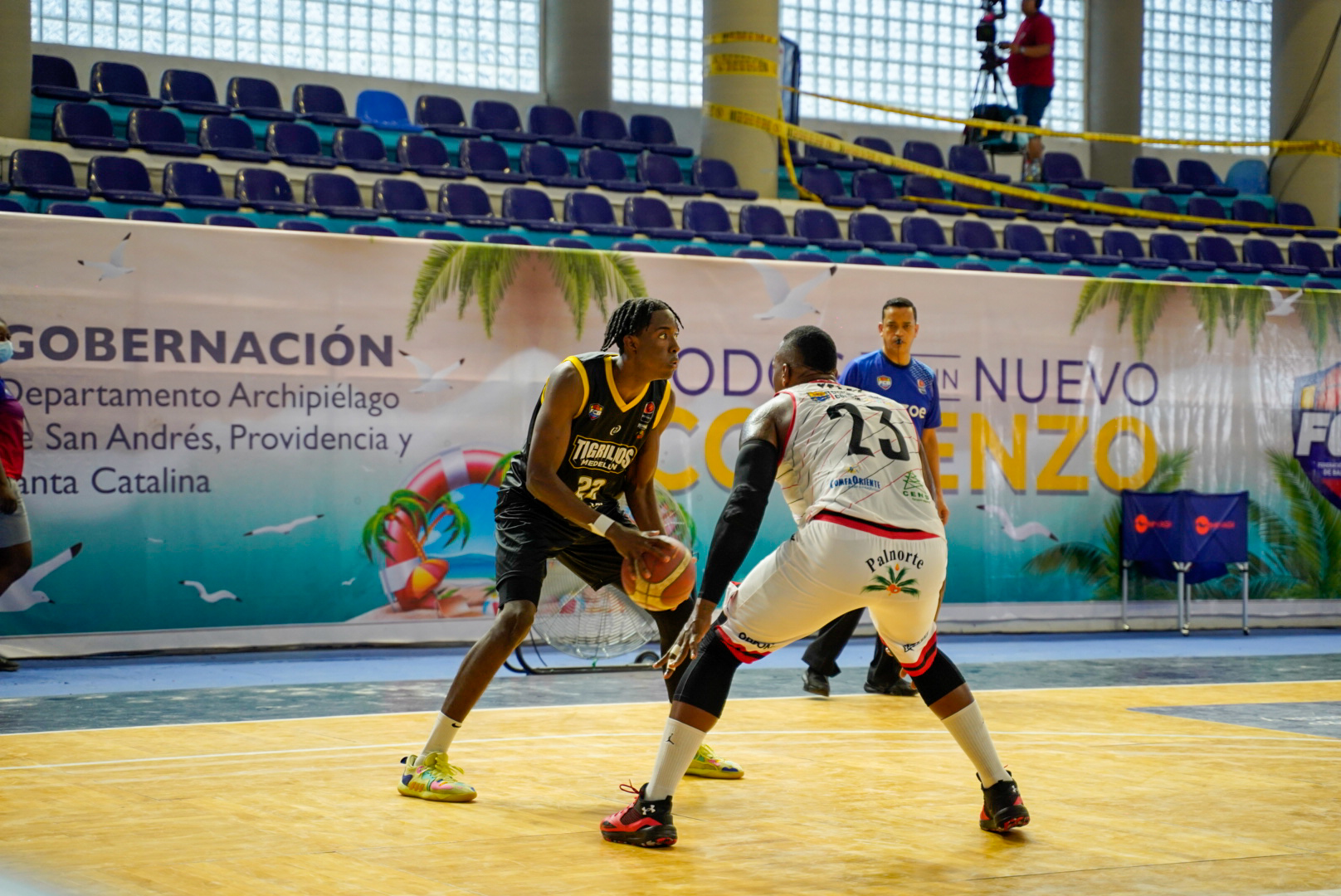 tigrillos baloncesto