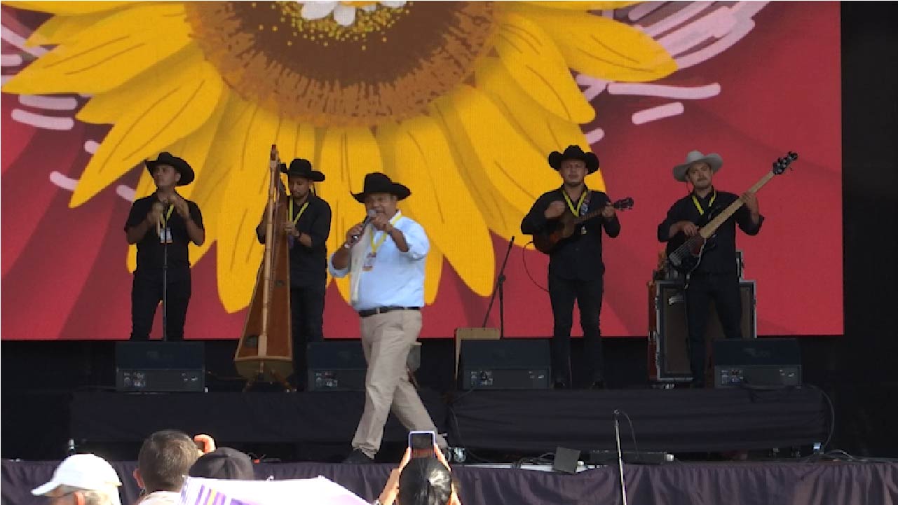 Resultados de reactivación