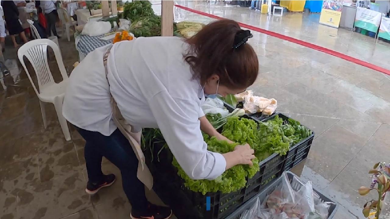 Mercados Campesinos