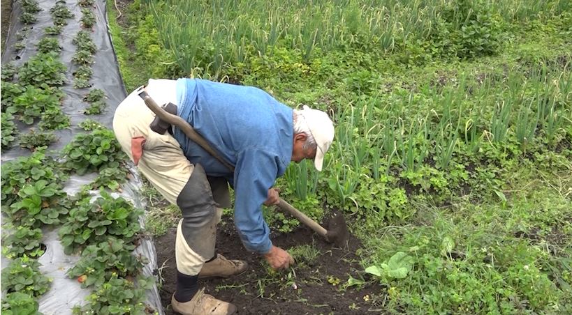 agro antioquia exporta