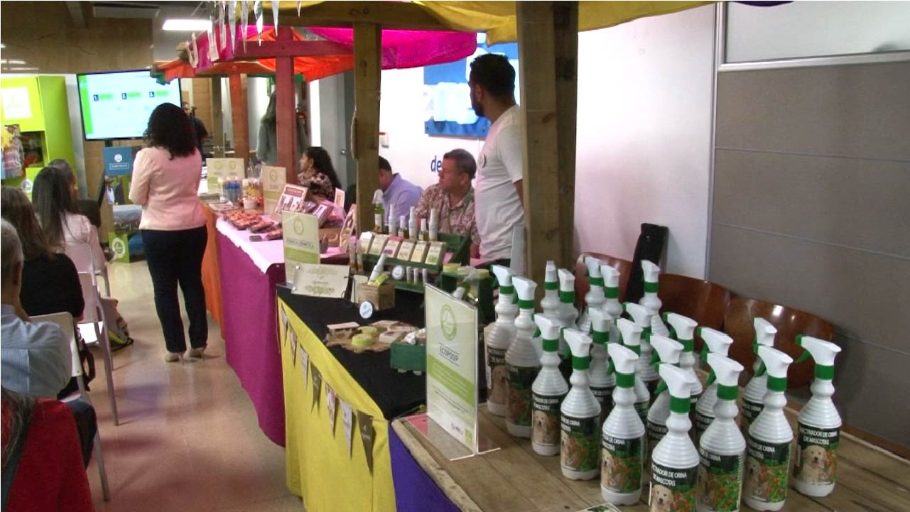 Feria de emprendedores