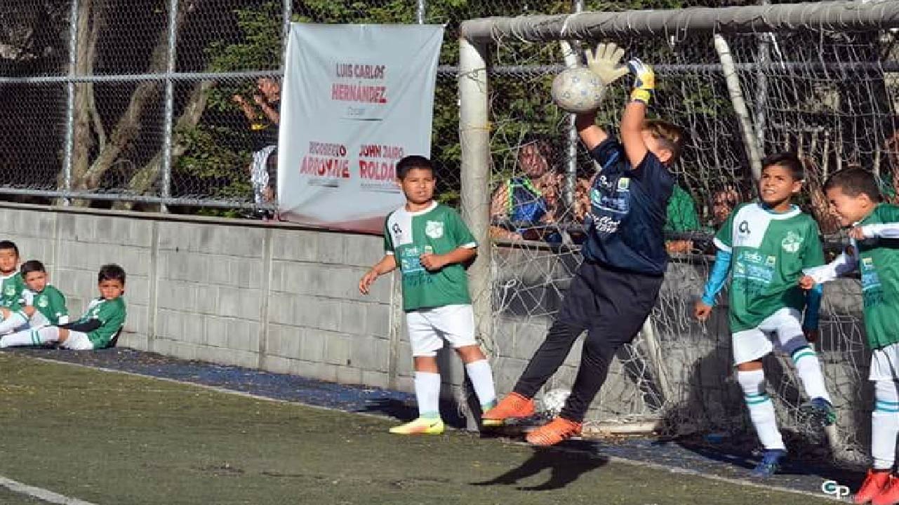 Festival de festivales