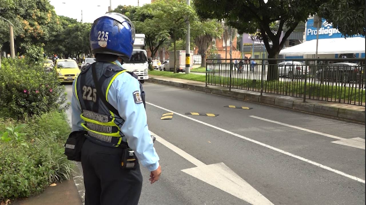 Licencia de conducción