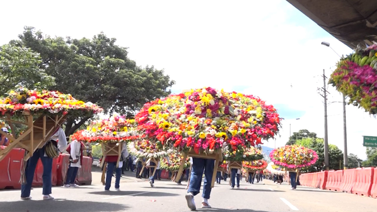 Así se preparan los silleteros de Santa Elena para el Desfile de las Flores en Nueva York