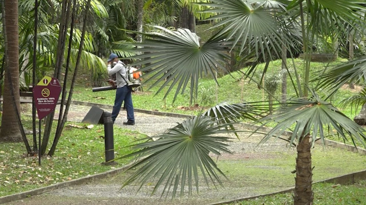 Jardín Botánico