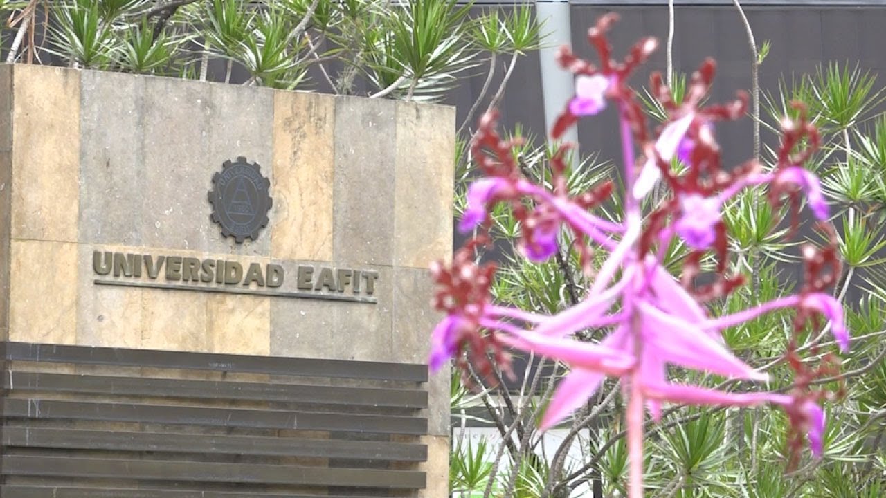 MOÑITOS EAFIT AHOGADO