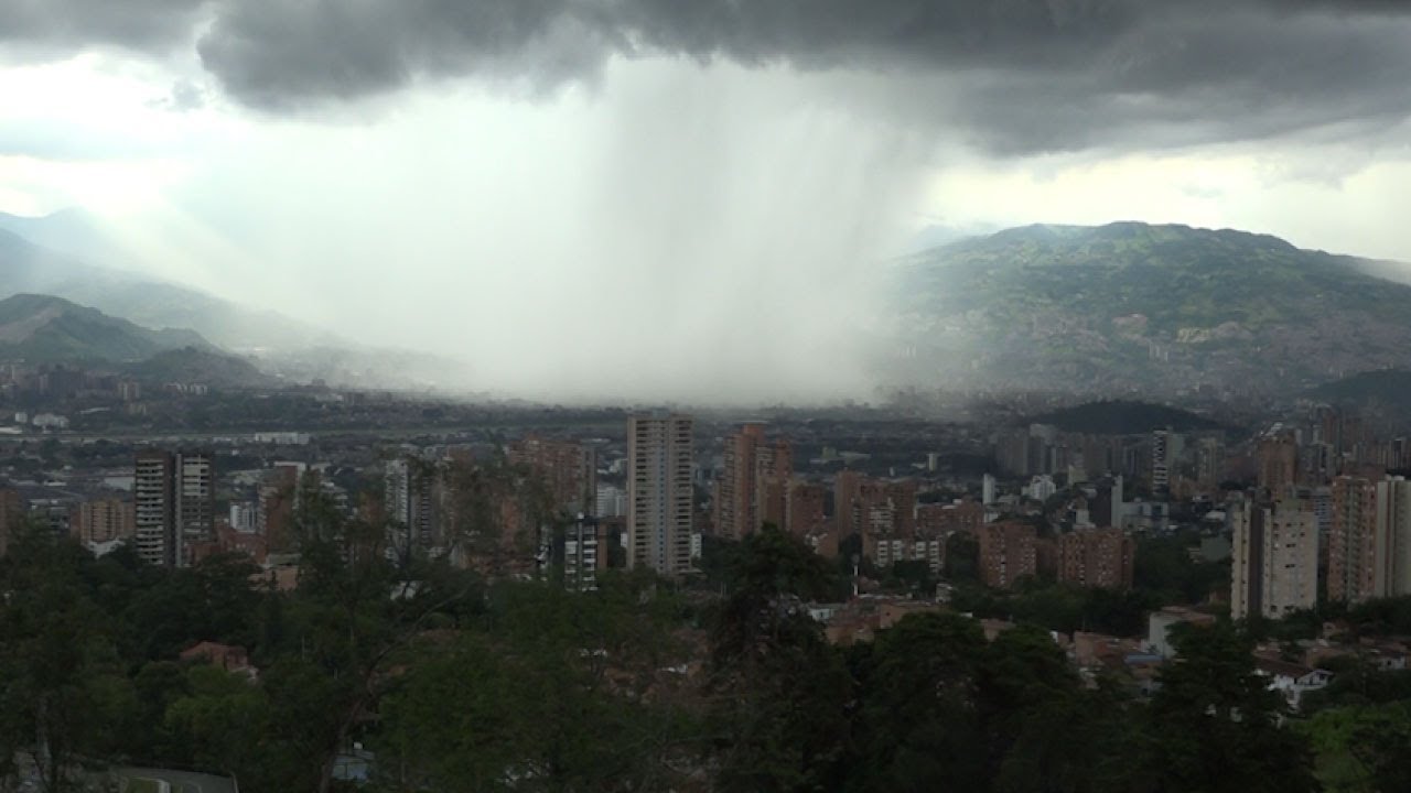 seguridad