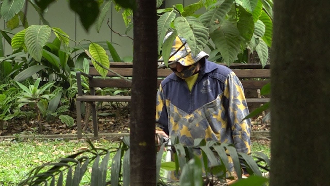 Inició plan de mantenimiento de jardines en Medellín jardines