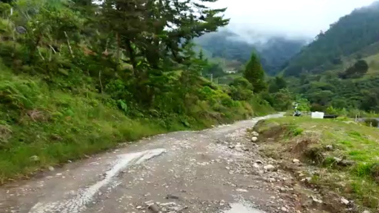 bebé