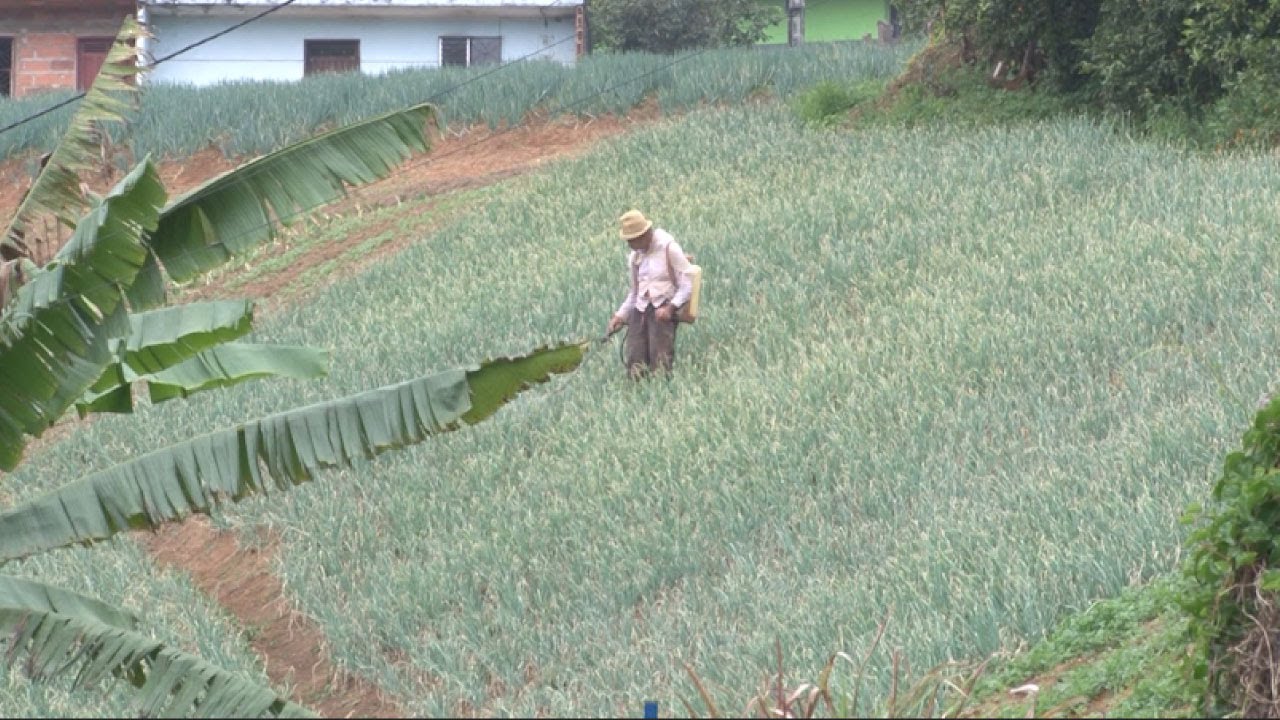 Agricultura