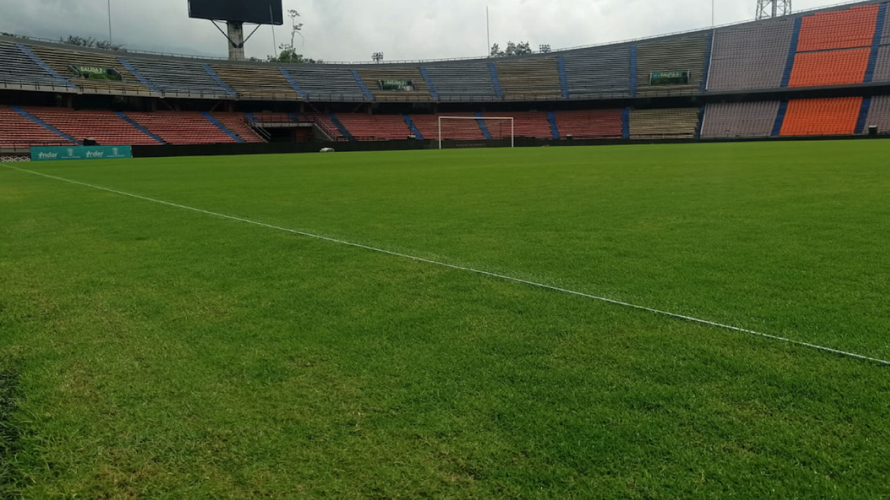 estadio
