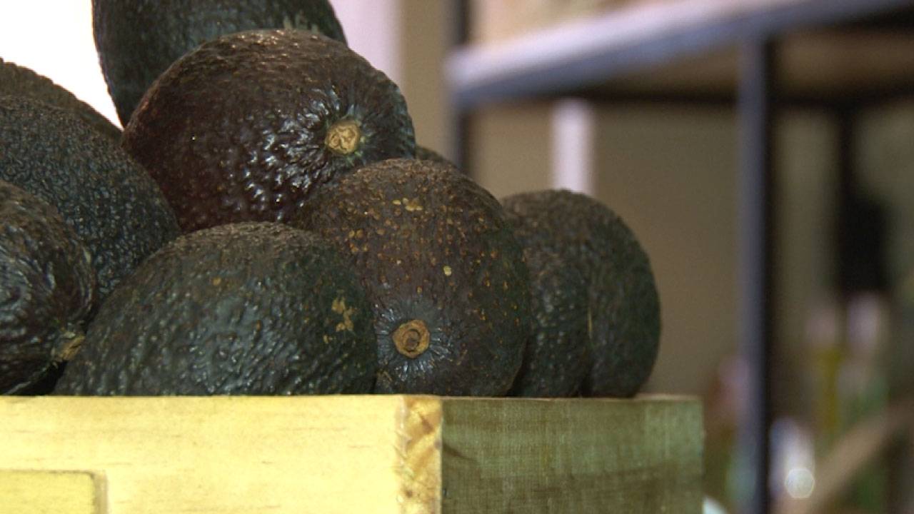 aguacate