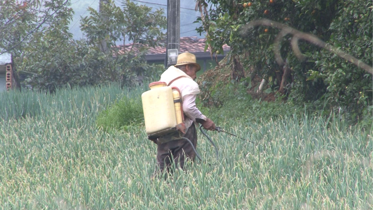 En un 30% disminuyen precios de fertilizantes fertilizantes
