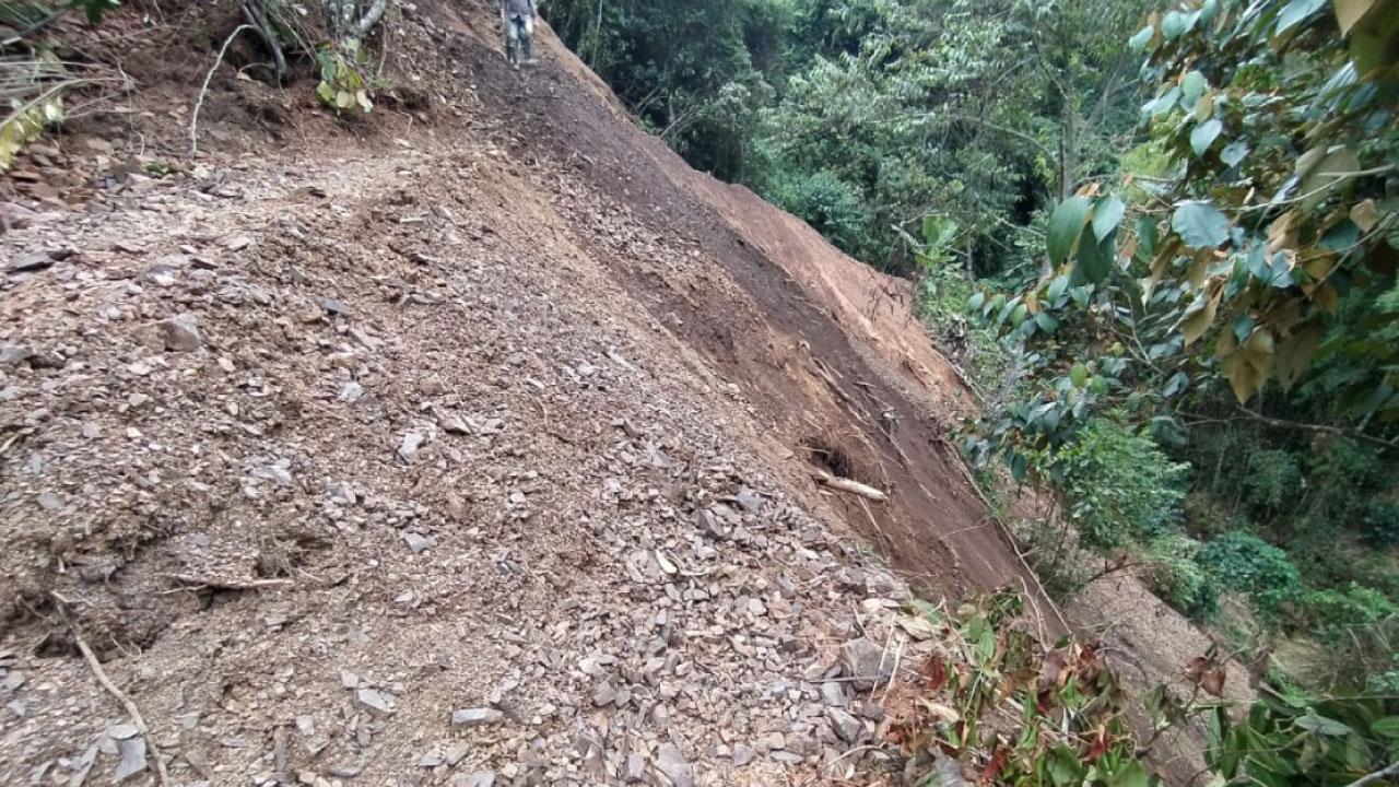¡Videos! Camión cargado de madera cayó a un río en Tarazá Camión lluvias