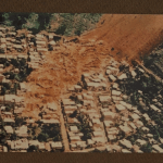 CAMPO SANTO 3