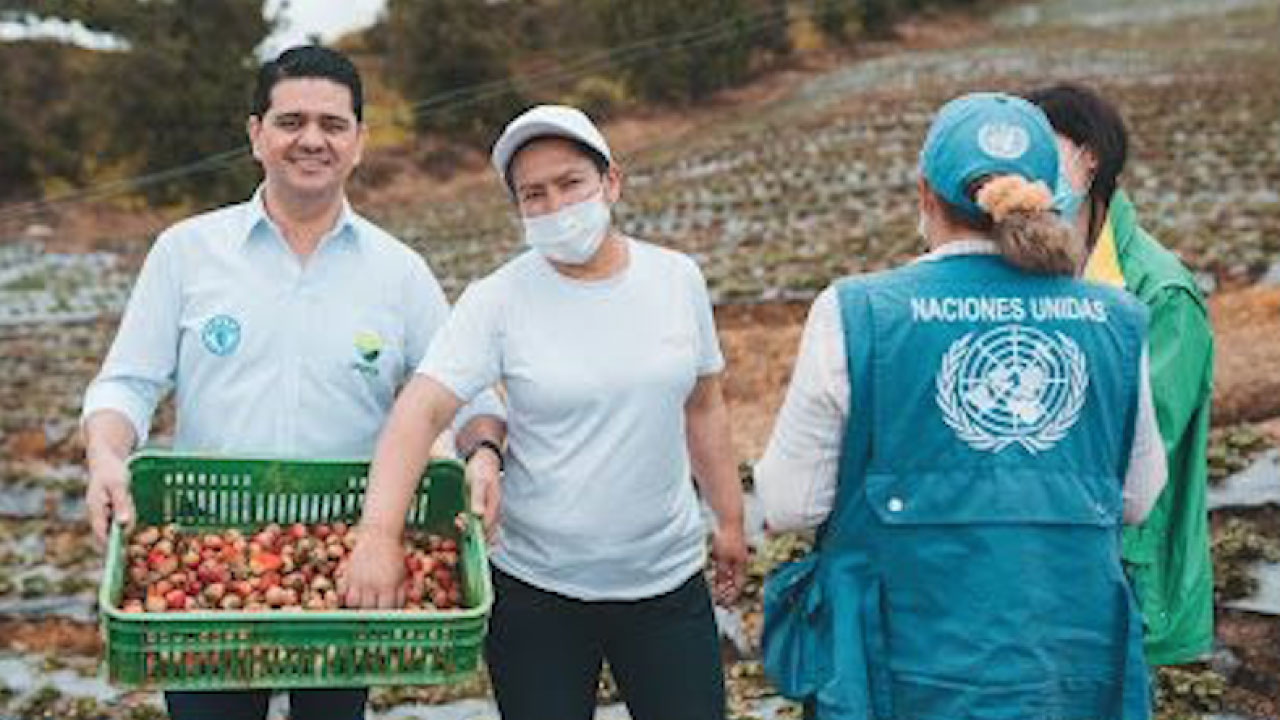 producción agrícola