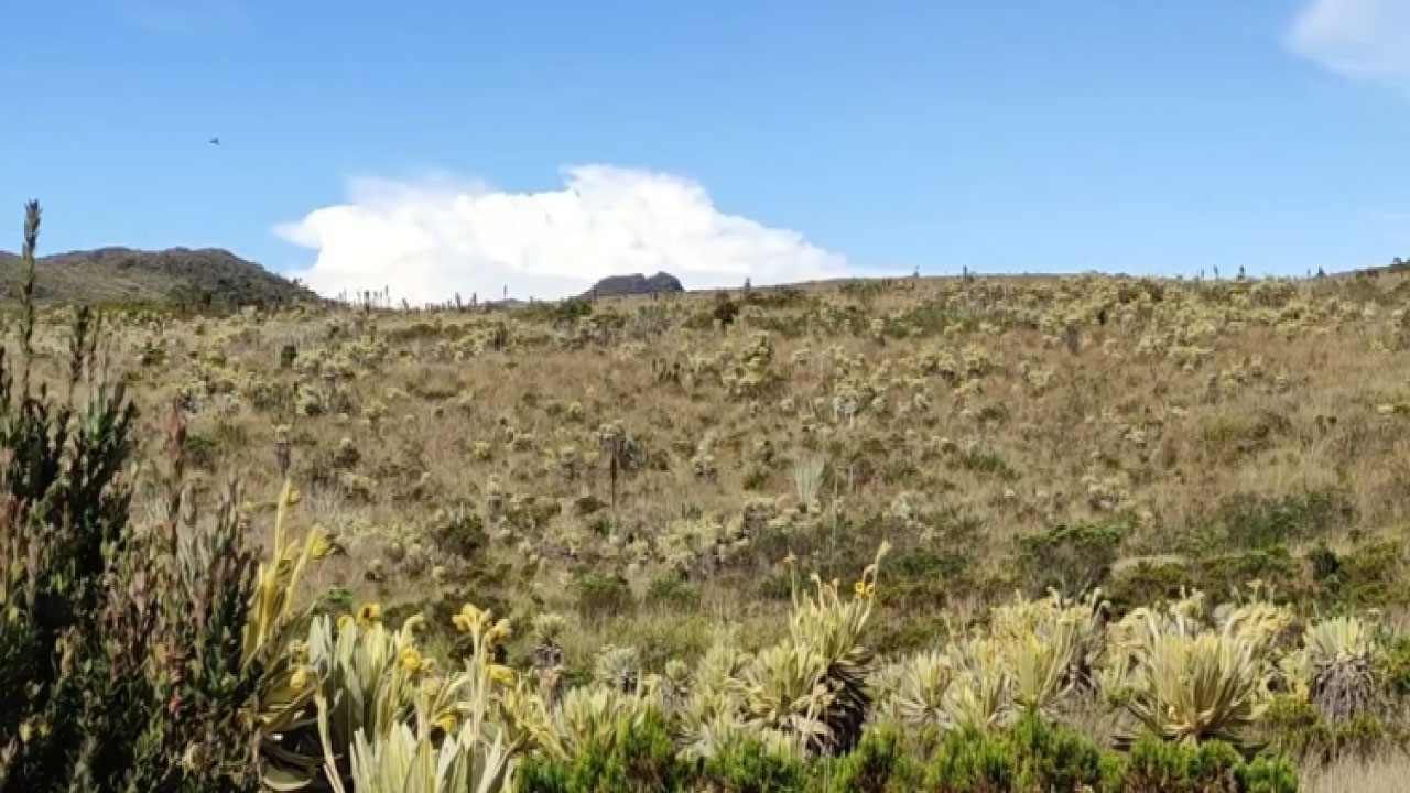 Cierre temporal del Páramo del Sol en Urrao Páramo del Sol