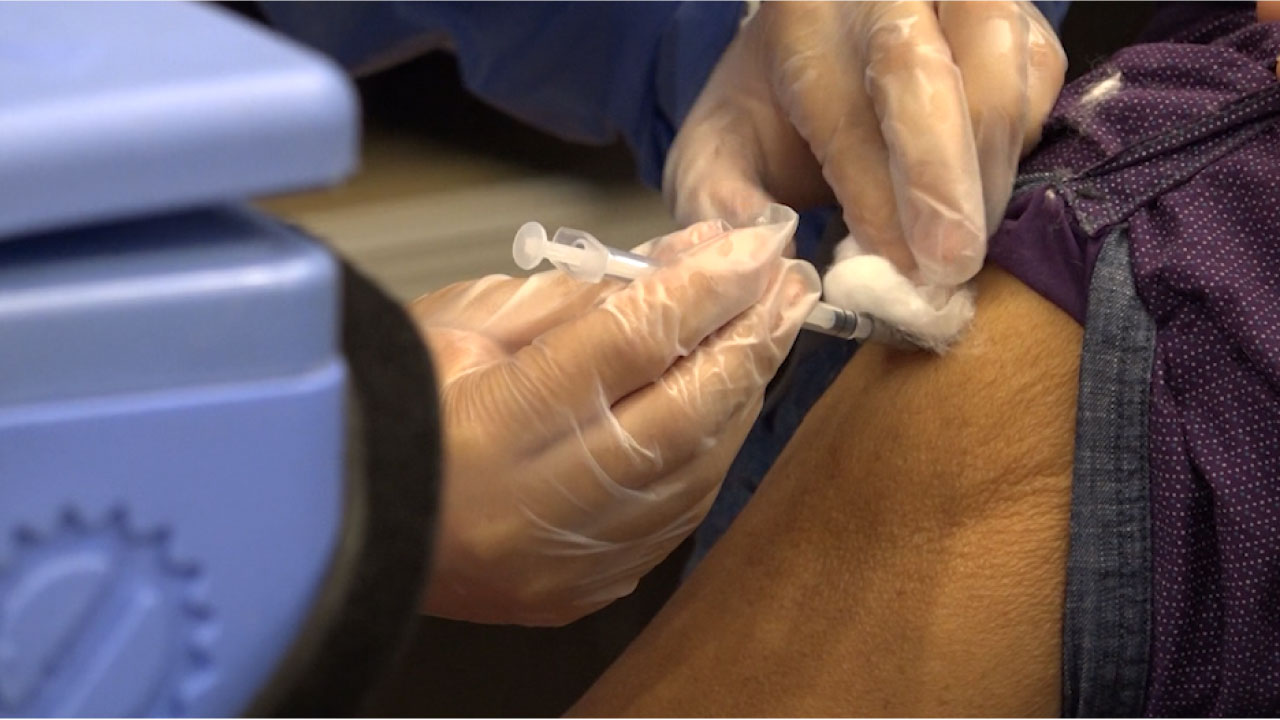 Jornada de vacunación