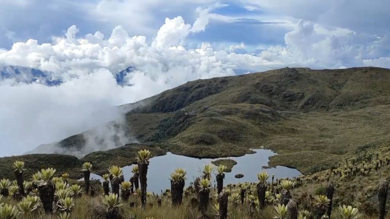 Páramo del Sol