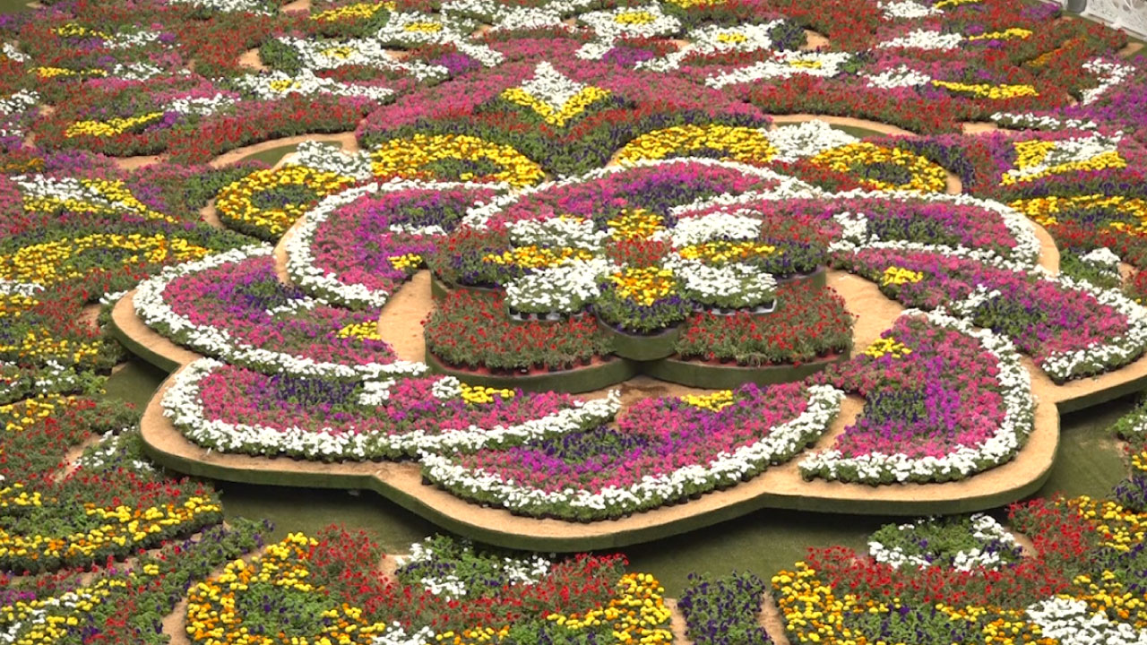 Venta de flores busca recaudar fondos para Fundación de Atención a la Niñez flores