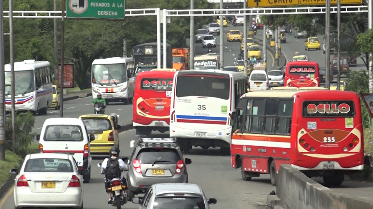 buses