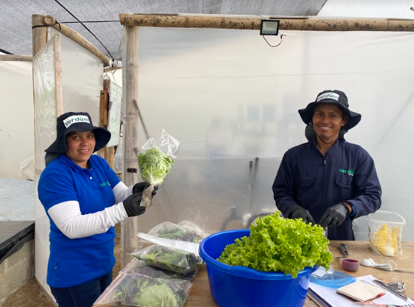 mercados campesinos