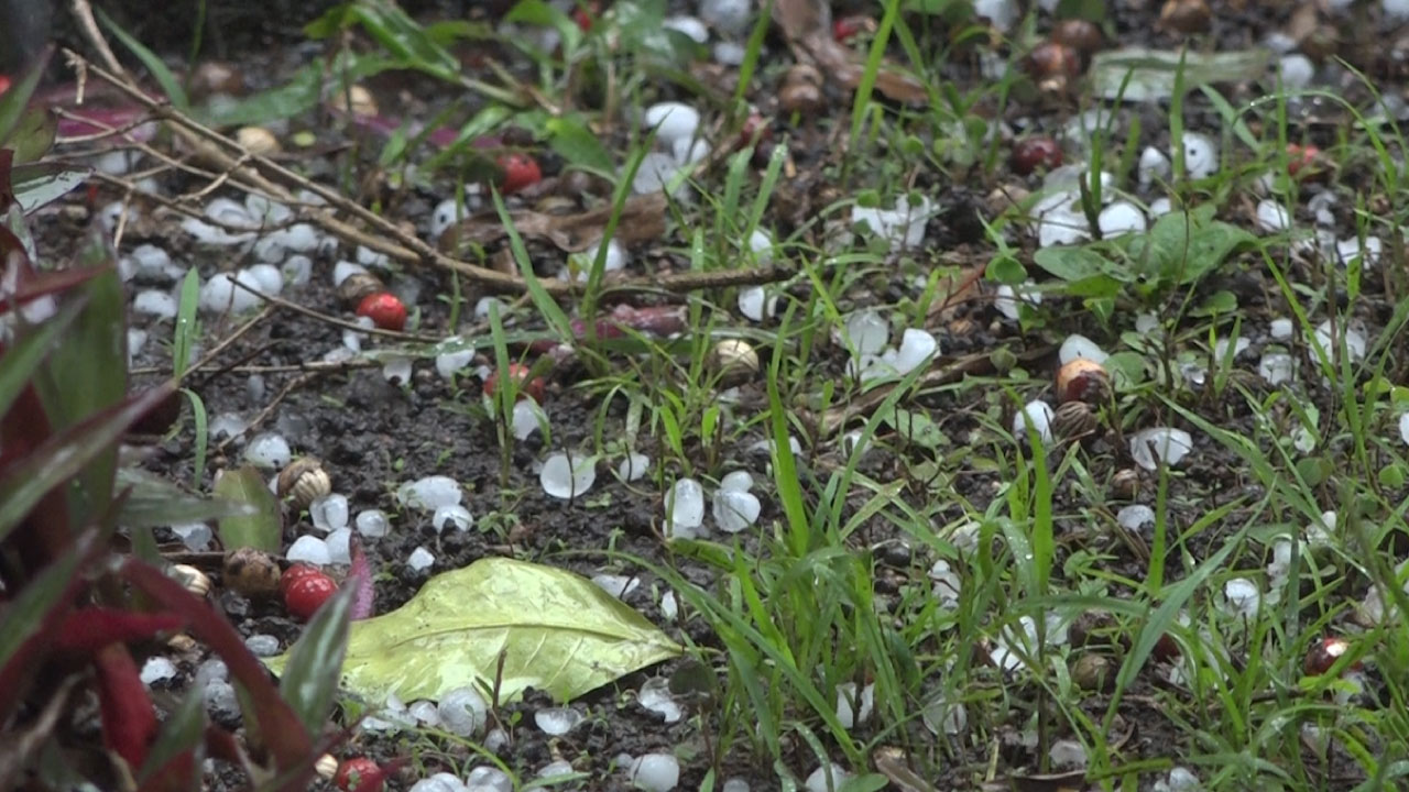 lluvias