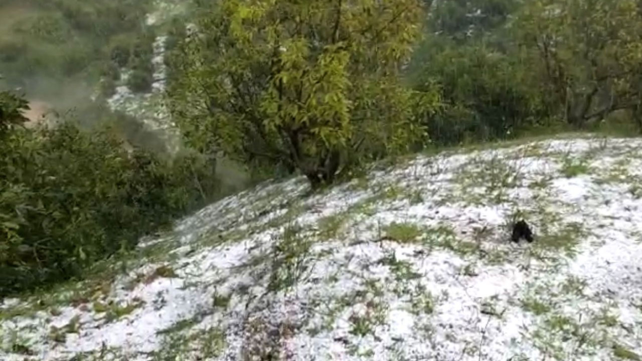 LLUVIAS