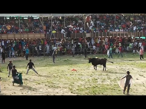 corralejas