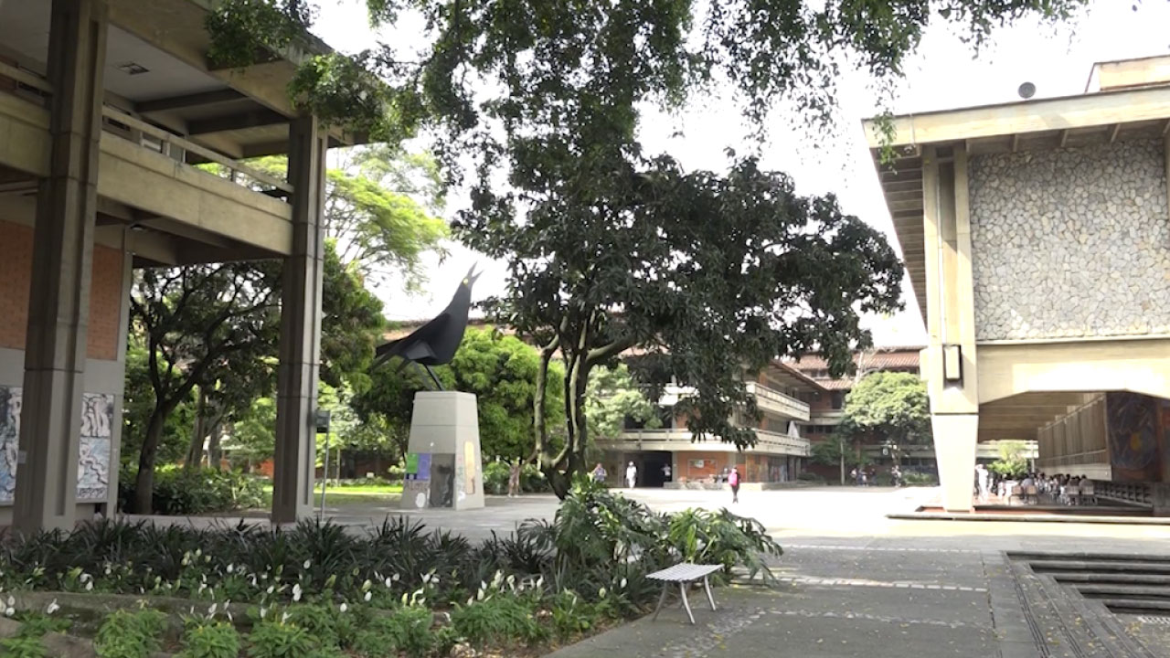 Universidad