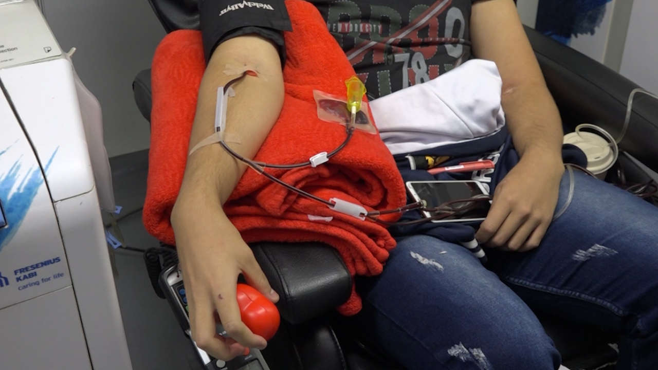 En Colombia, por cada mil habitantes hay 26 donantes de sangre Sangre