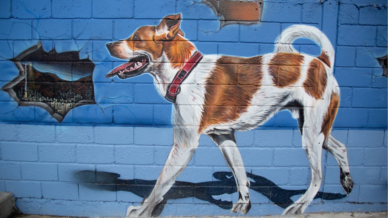 macromural