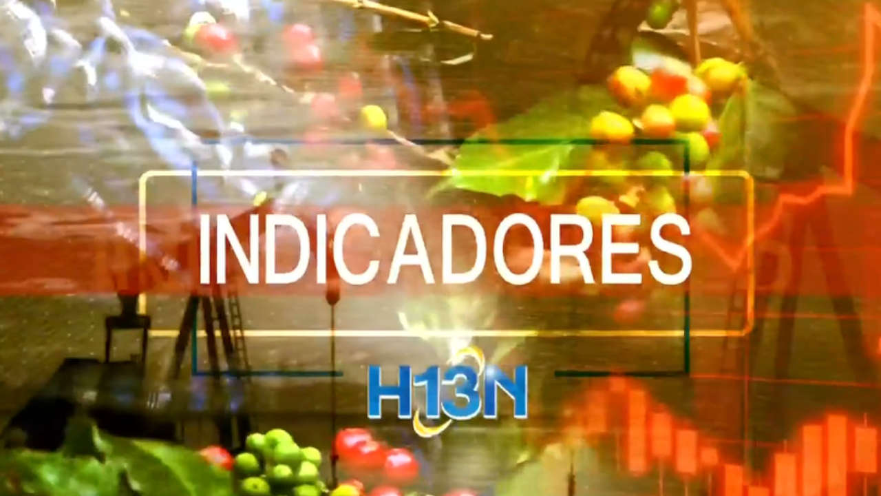 Indicadores
