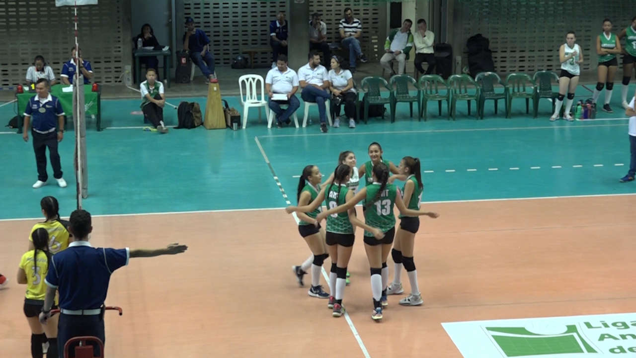 voleibol