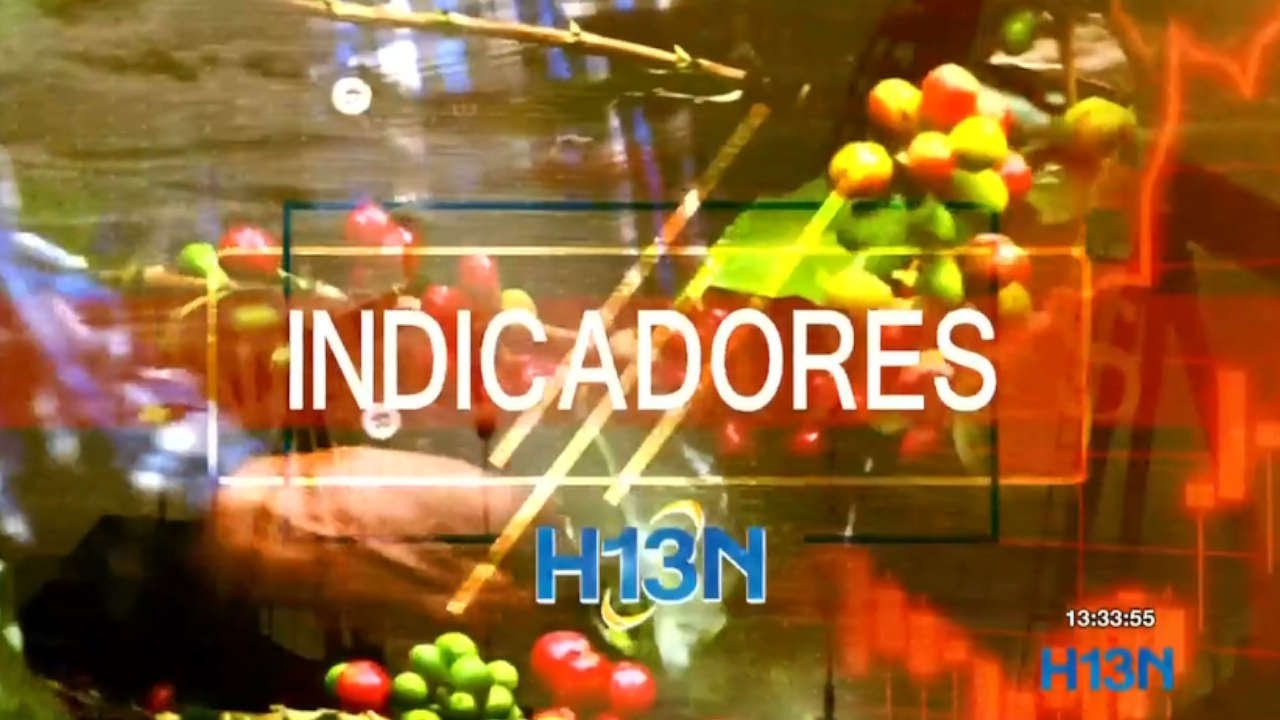 Indicadores