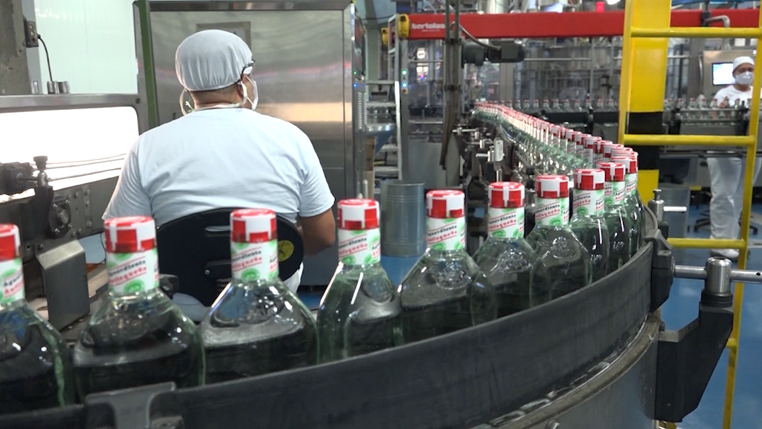 Empleados de la fábrica de licores piden estabilidad laboral FABRICA LICORES