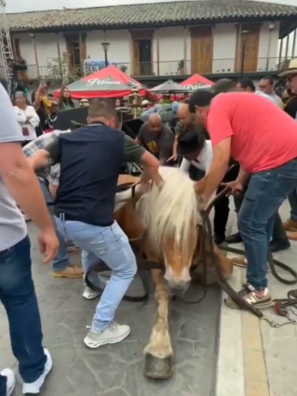 caballo-el-retiro