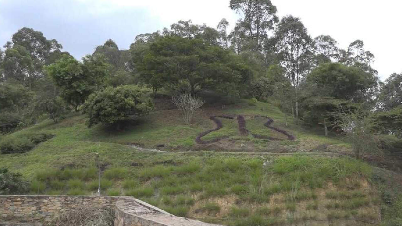 Capturan a uno de los presuntos delincuentes que hurto a polacos en El Volador