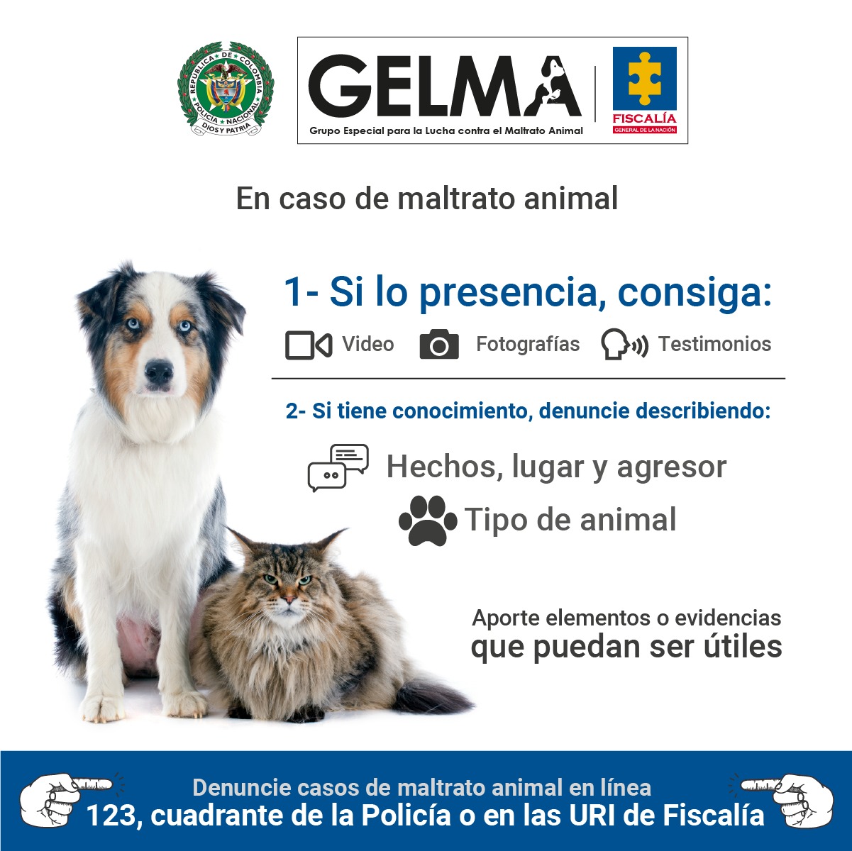 gelma