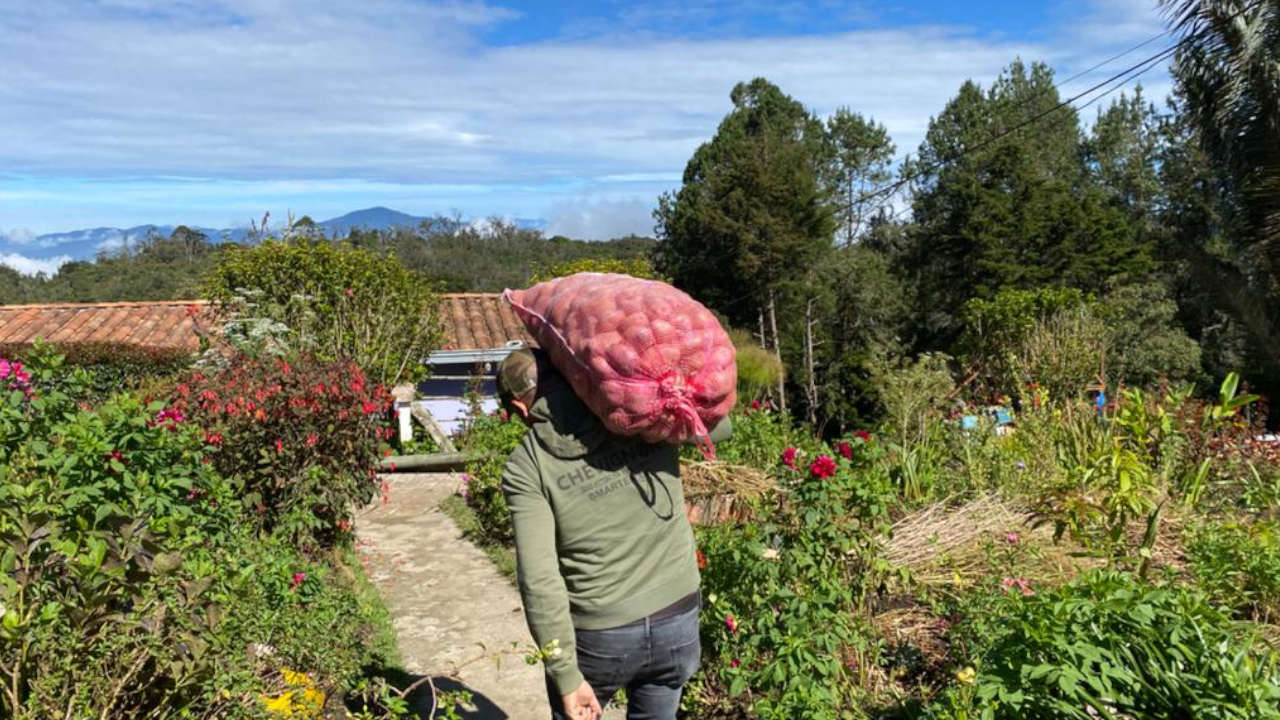 Productores agrícolas