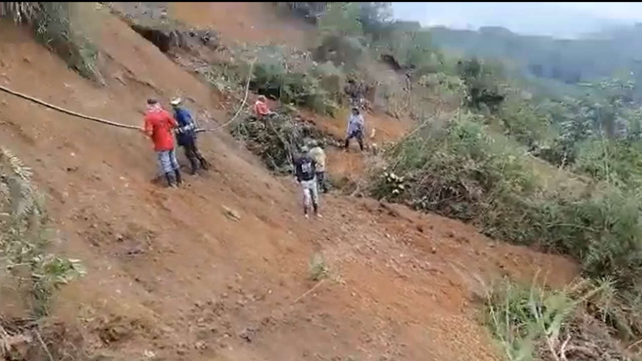 Betulia