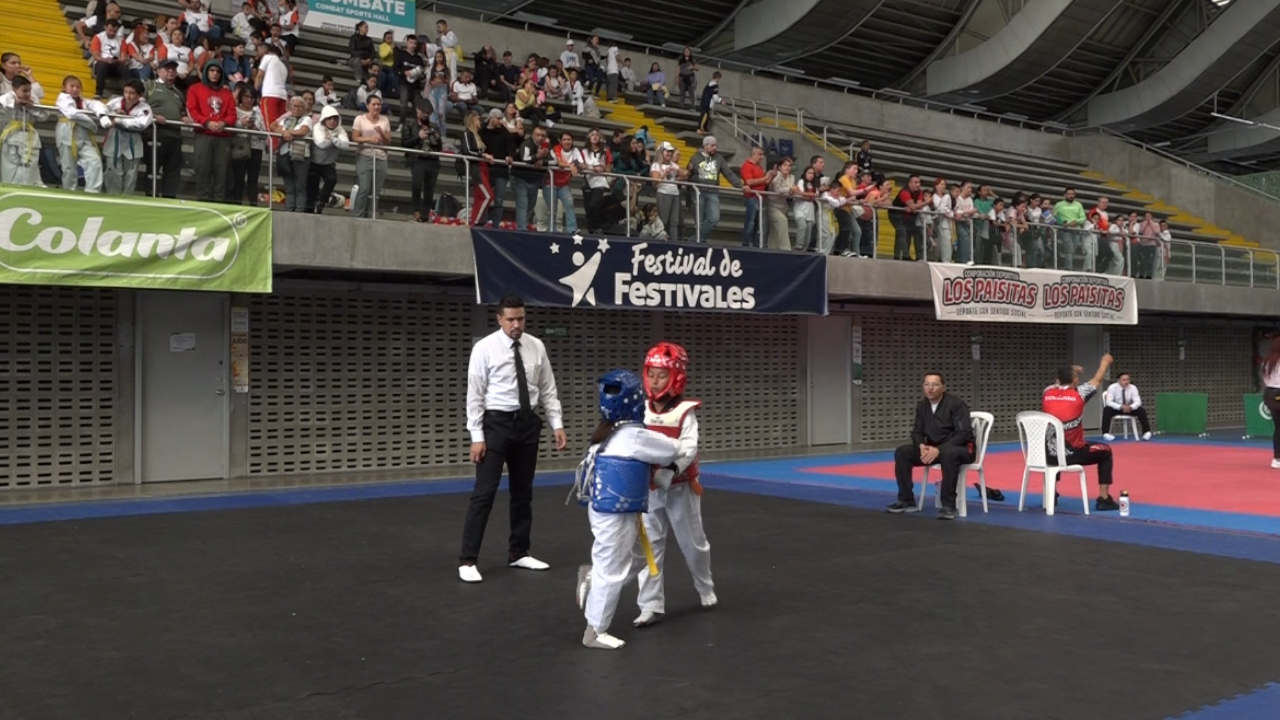 Taekwondo