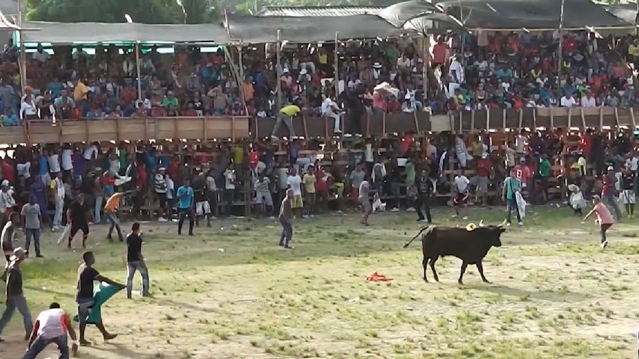 Autoridades municipales aseguran que las Corralejas en Caucasia cumplen los requisitos pero CMGRD encontró deficiencias en estructura Autoridades municipales aseguran que las Corralejas en Caucasia cumplen los requisitos pero CMGRD encontró deficiencias en estructura