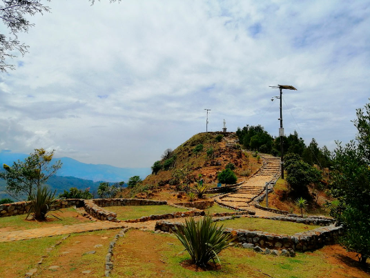 fotografia y biodiversidad