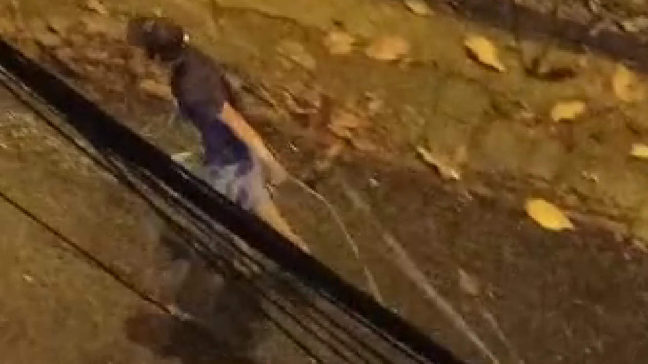 habitantes en situacion de calle