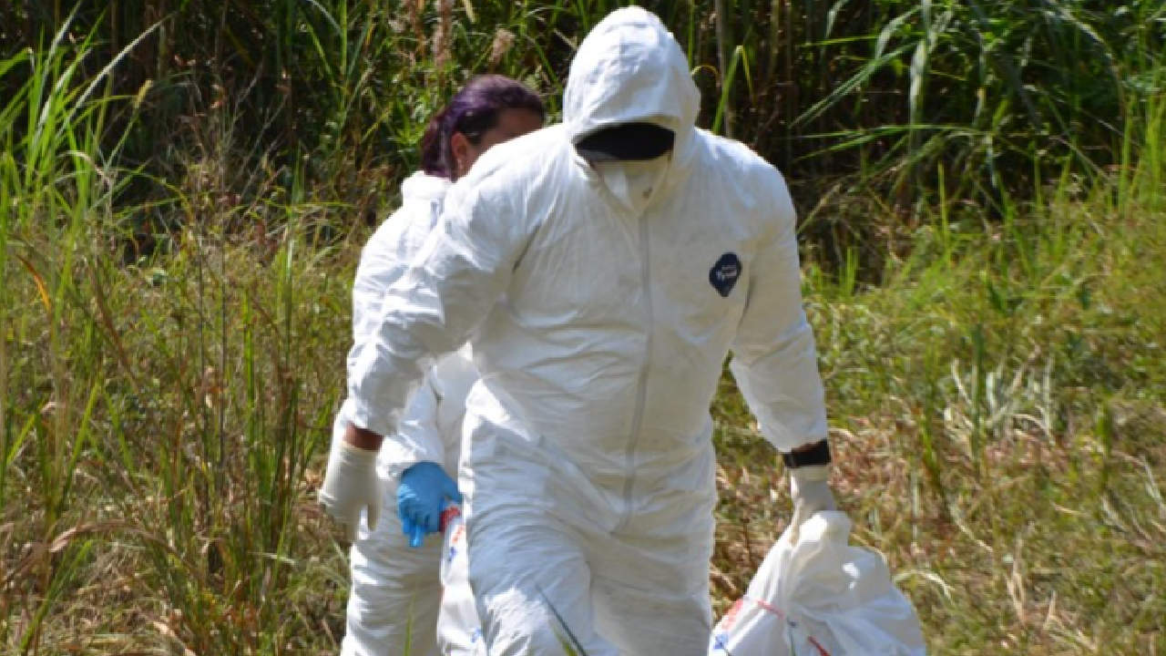 Cuerpo en descomposicion Autopista Norte