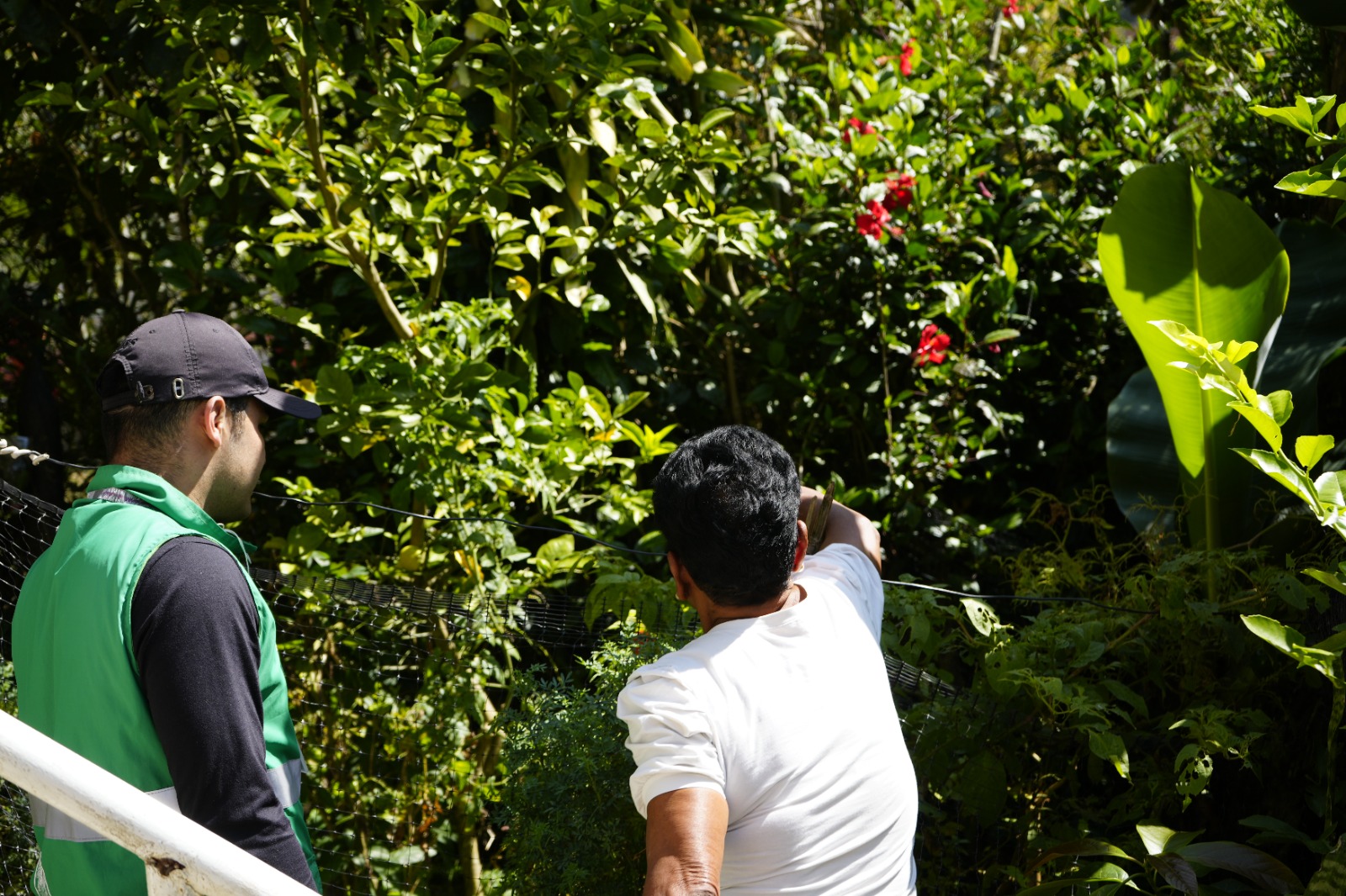 Se abre convocatoria para la creación de huertas urbanas y rurales en Medellín 2 CONVOCATORIA HUERTAS 2