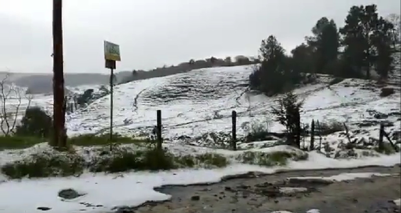 Cultivos dañados por granizada en San José de la Montaña 1 WhatsApp Image 2023 02 08 at 12.54.42 PM