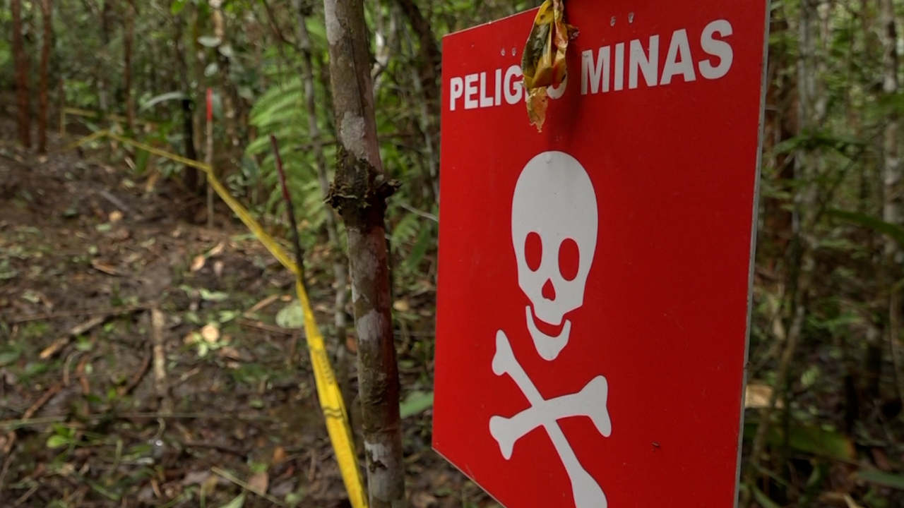 Comité Internacional